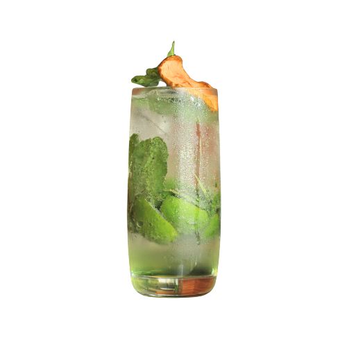Sparkling Apple Mint