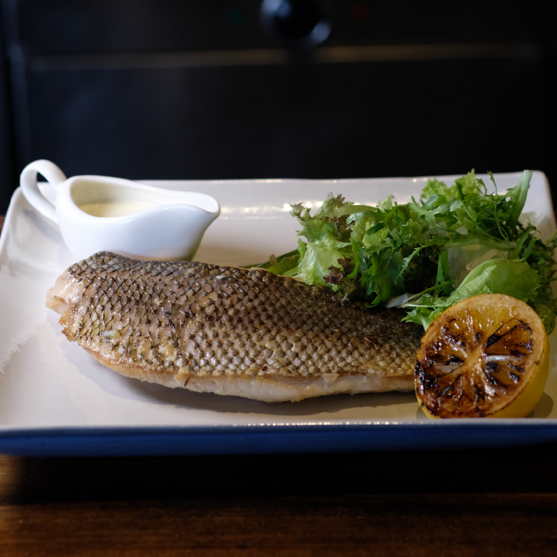 Barramundi